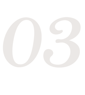 03
